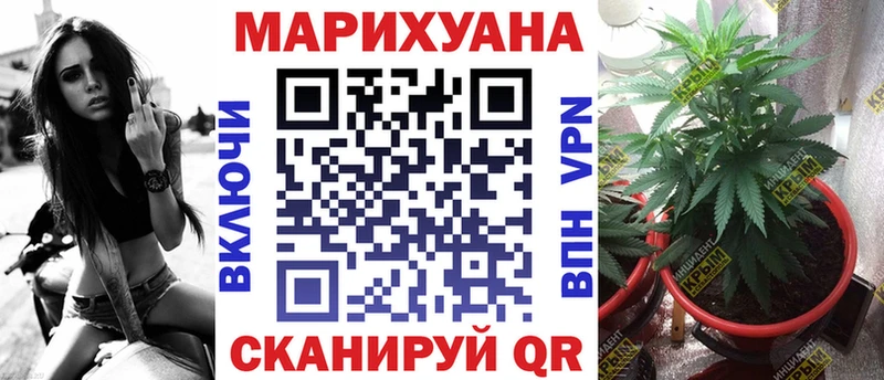 Магазины продажи наркотиков Черноголовка MDMA МЕФ Каннабис COCAIN