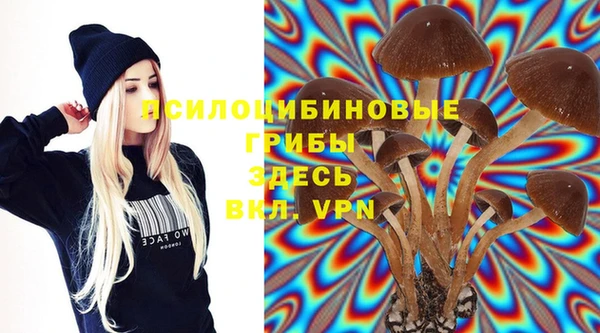 скорость Липки