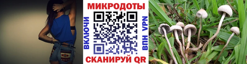 Псилоцибиновые грибы прущие грибы  блэк спрут tor  Черноголовка 